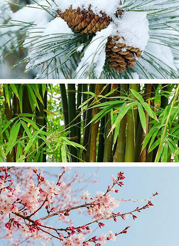 bambu-pinheiro-e-ameixeira-casamento-tradicao-religiosa-japao-monja-coen-nosso-blog-imagem