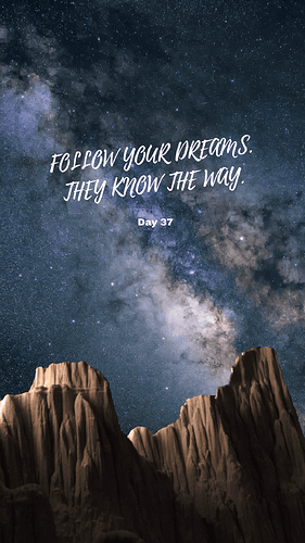 mdf_day_Day37