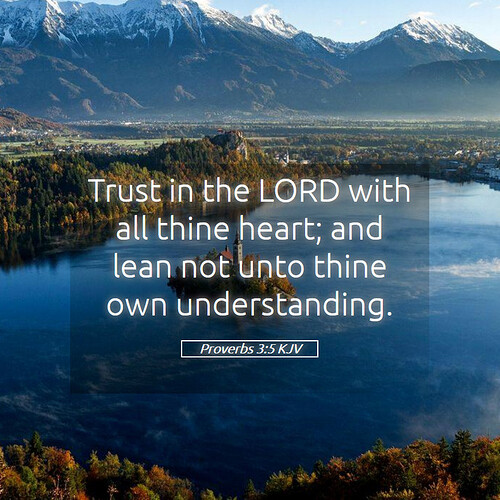 Proverbs-3-5-KJV-Trust-in-the-LORD-with-all-thine-heart-and-lean-I20003005-L05