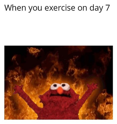 Elmo Rise 09042023121011