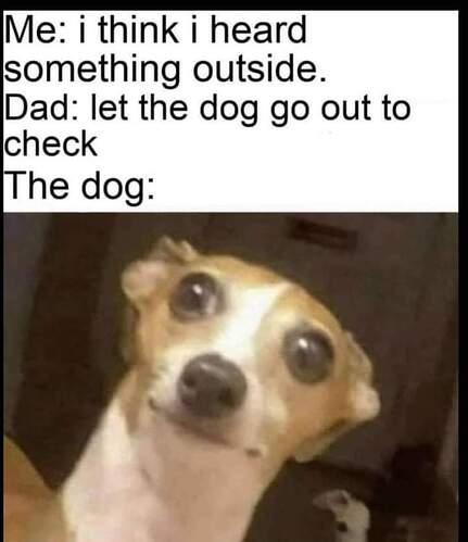 FB_IMG_1682143238652