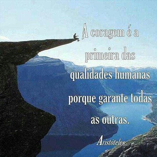 imagem_15939719934822120816963