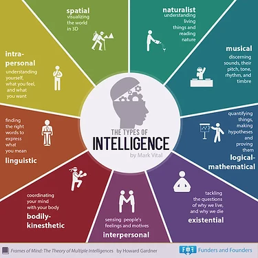 cual-es-la-9na-inteligencia-1