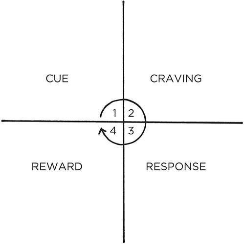 The Habit Loop