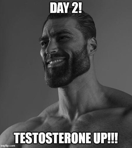 Day 2 Chad