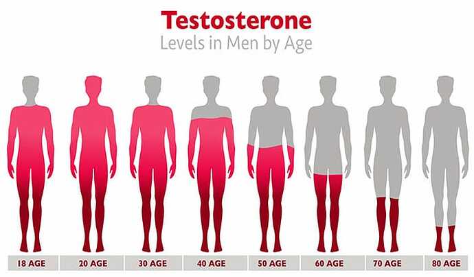 A-Breakdown-of-Testosterone-Levels-by-Age