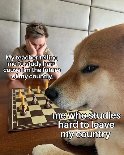 Doge Playing Chess 10012023140142