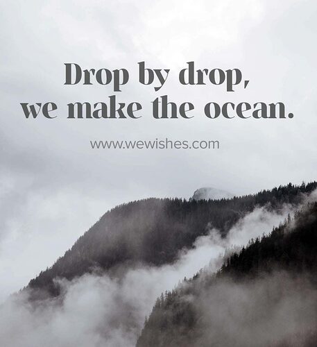 Drop-by-drop-we-make-the-ocean.-936x1024