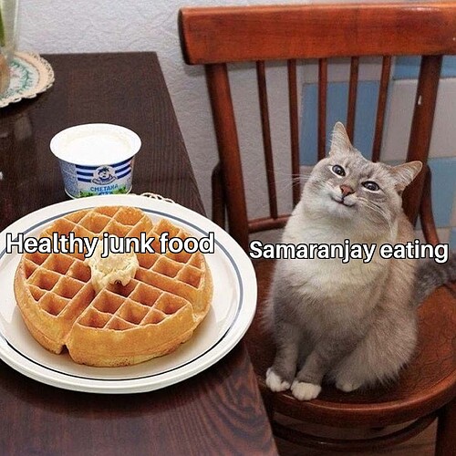 Waffles Cat 10012023140342