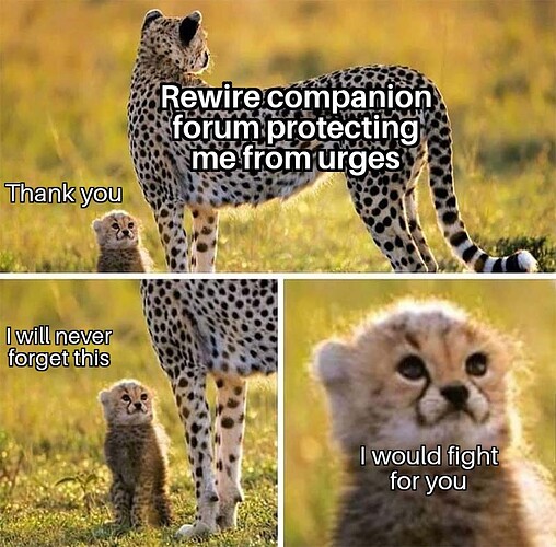 Cheetah And Cub ٠٢١٢٢٠٢٢١٦٤٥٤٢