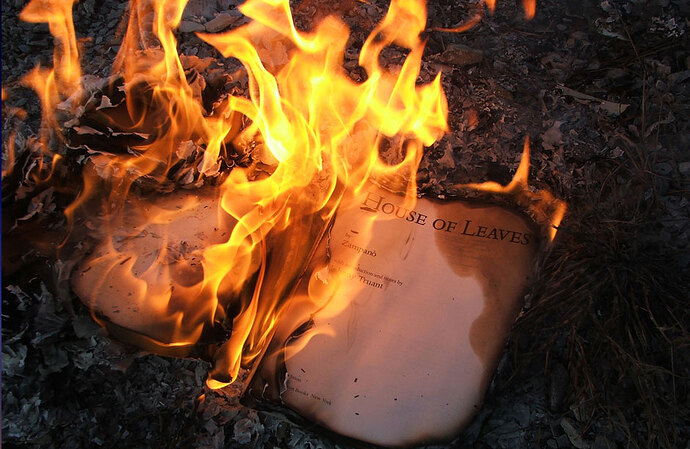 manuscripts-dont-burn