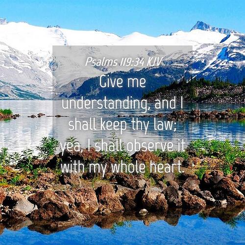 Psalms-119-34-KJV-Give-me-understanding-and-I-shall-keep-thy-law--I19119034-L04