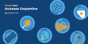 Dopamine-Detox_08-Dopamine-Increasing-Foods-Inline-Image