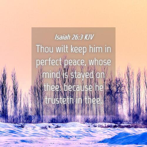 Isaiah-26-3-KJV-Thou-wilt-keep-him-in-perfect-peace-whose-mind-I23026003-L04