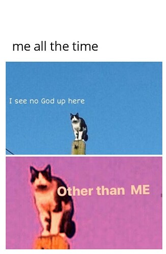 meme