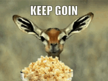 popcorn-lurking
