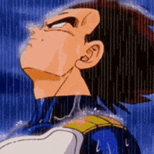 vegeta-vegeta-rain