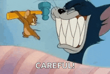 tomandjerry-tom