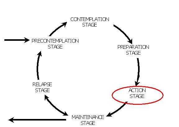 Diagram showing the action stage in the model