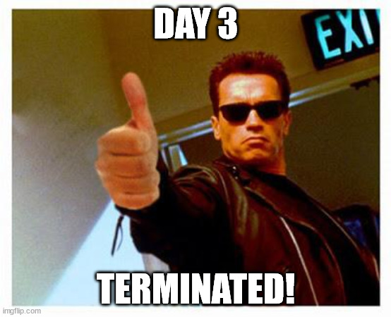 Day 3 terminator