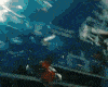 ezgif.com-optimize (1)