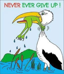 never-give-up-frog-257x300