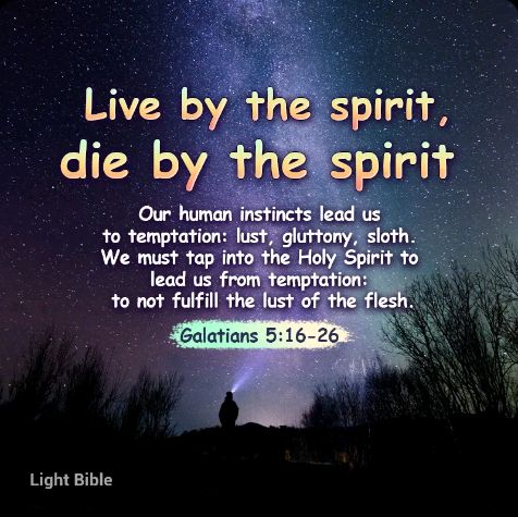 share_0d8a5195-cc2c-46e0-8544-8ab5cad4edbd~2