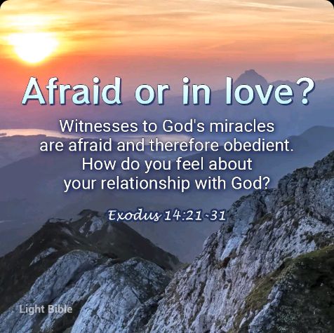 share_105ca95e-c1eb-4493-9a17-5ea0a2e95d05