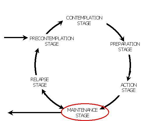 Diagram showing the maintenance stage in the model