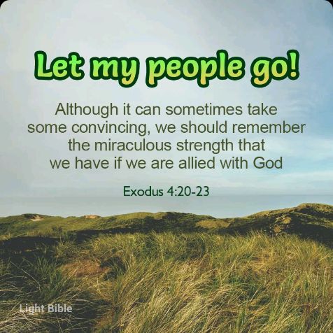 share_ffc9eab7-0e9a-497c-93e0-1add41eab310