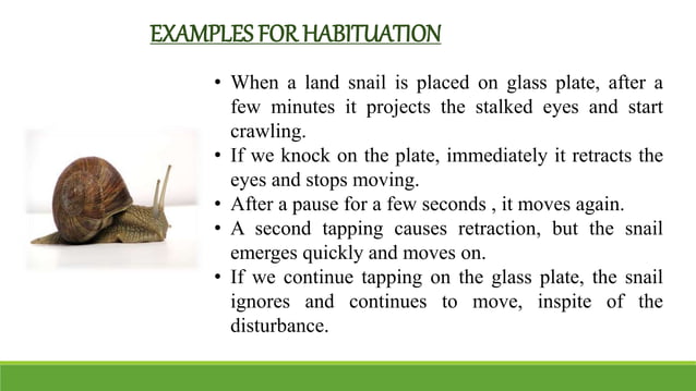 Habituation-4-638