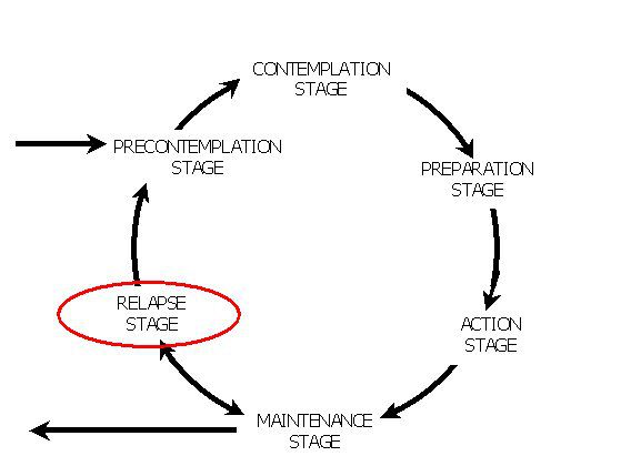 Diagram showing the relapse stage in the model