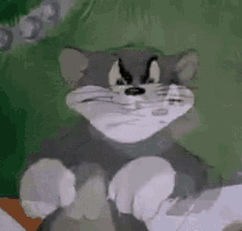 animation.gif.mp4 (1)