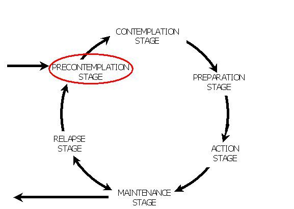 Diagram showing the precontemplation stages in the model