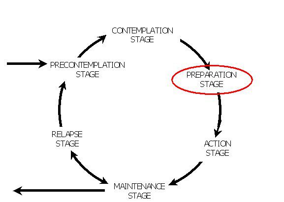 Diagram showing the preparation stage in the model